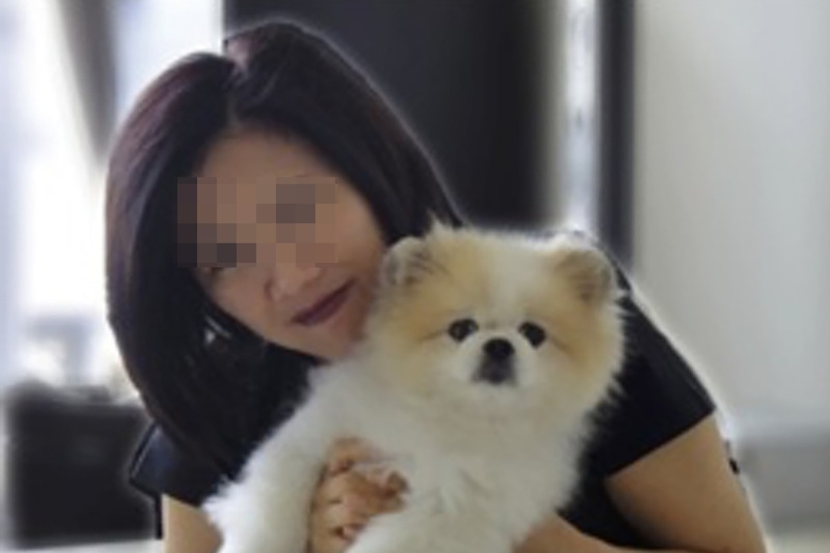 Coronavirus Pet Dog Belonging To Covid 19 Patient Infected Hong Kong Health Authorities Confirm South China Morning Post
