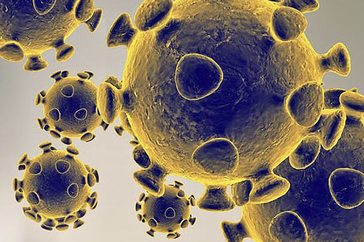 The coronavirus that causes Covid-19 could reappear if it follows the pattern of the Sars outbreak. Photo: AFP