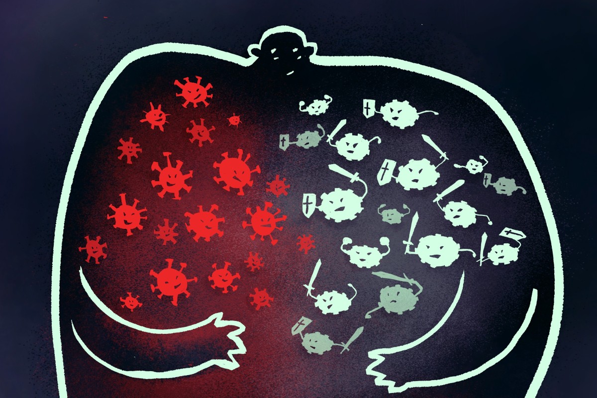 Coronavirus Vs The Human Immune System The Brutal Microscopic War For Survival South China Morning Post