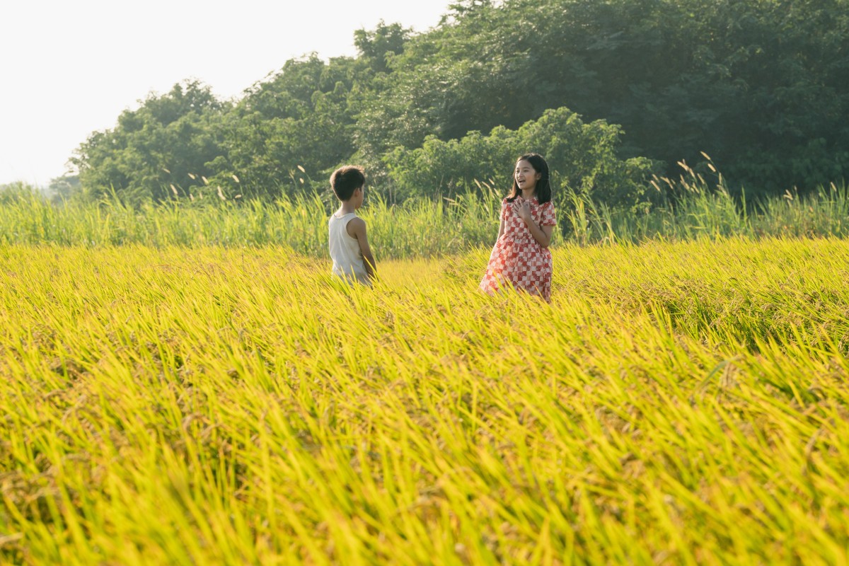 A still from Tigertail, a film written and directed by Alan Yang and based loosely on the life of his father, who migrated from Taiwan to the United States.