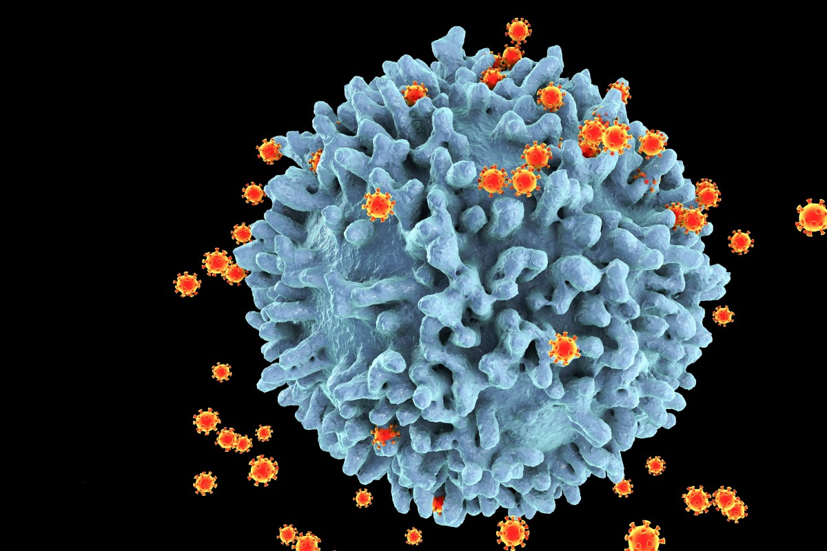 Comme le VIH, le nouveau coronavirus s'est avéré éliminer les molécules marqueurs à la surface d'une cellule infectée afin de pouvoir échapper à l'attaque. Photo: Shutterstock