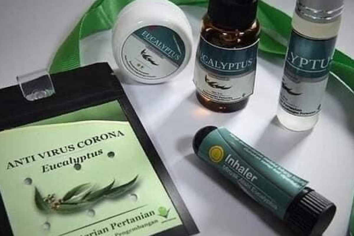 Coronavirus Can Be Killed With Eucalyptus Necklace Indonesian Minister South China Morning Post