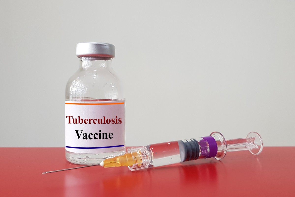 Tuberculosis Vaccine May Play Role In Reducing Covid 19 Death Rate Study Says South China Morning Post