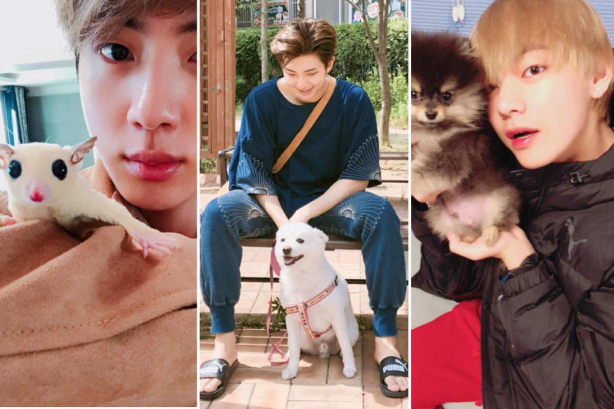 BTS members love their pets and post cute dog photos to Instagram just like us – from V's Yeontan and Jungkook's Gureum to Jimin's Ddosun, these are all the K-pop boy group's