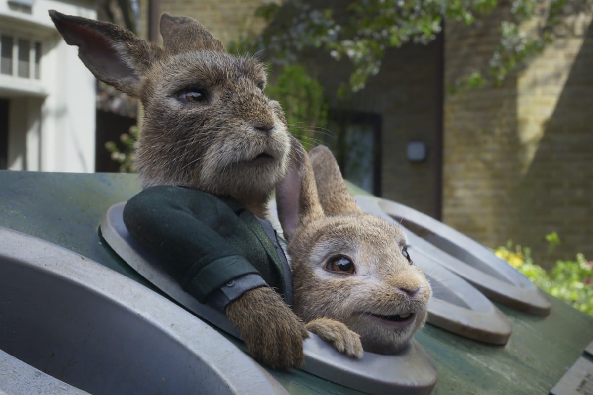 Peter Rabbit 2: The Runaway movie review – James Corden's silly bunny  returns for charming sequel | South China Morning Post