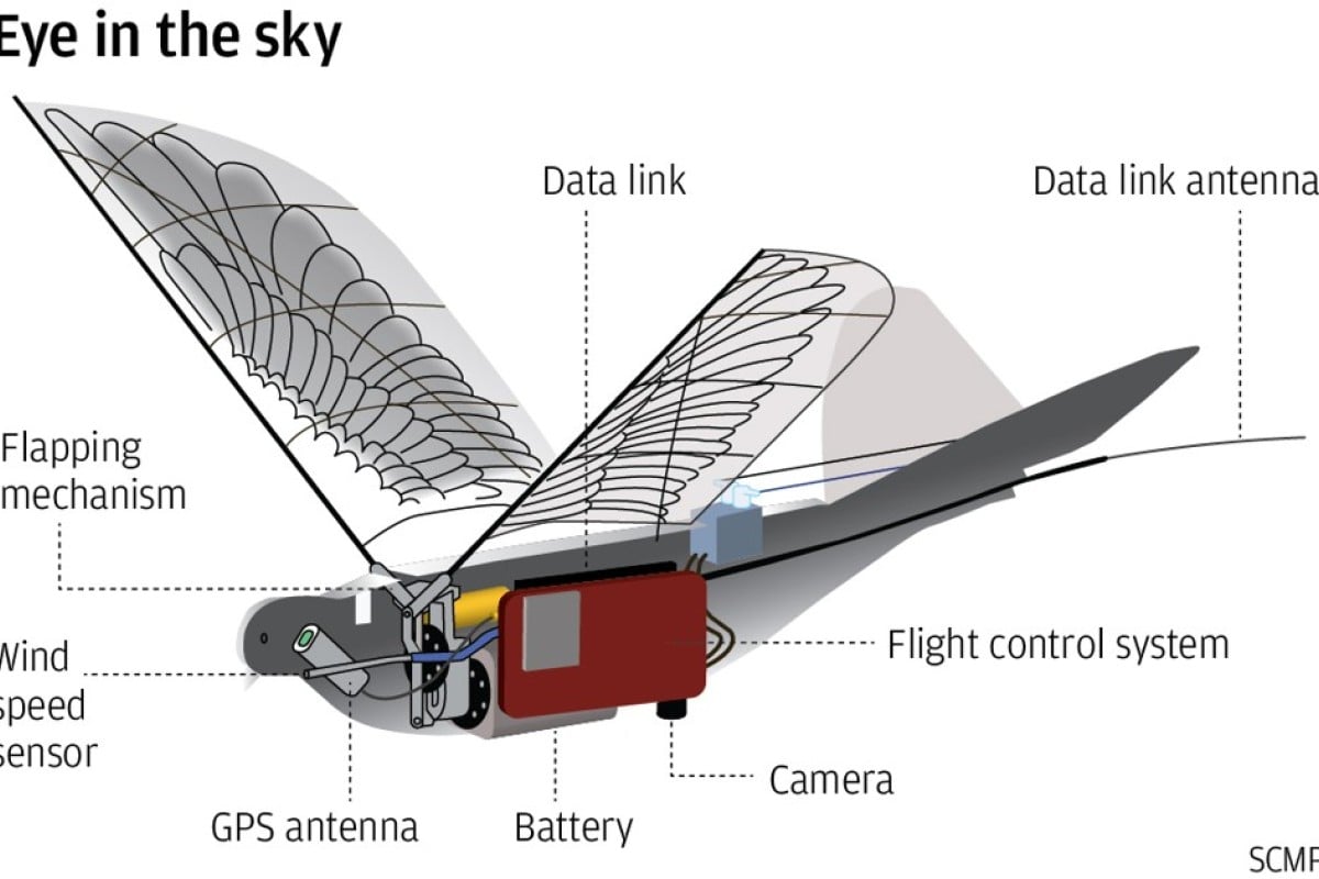 Robotic hot sale bird drone