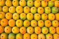 India has had a love affair with mangoes for thousands of years. More than 1,500 varieties are cultivated in the country, and everyone has their personal favourite. Photo: Shutterstock
