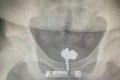 e275764e-511a-11e9-8617-6babbcfb60eb_image_hires_153541.jpg
