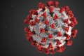 Some human antibodies target the spike protein on the surface of the coronavirus. Photo: EPA-EFE