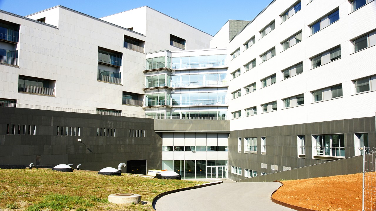 Patient Communication AI in a Hong Kong Hospital: A Privacy-First Architecture on AWS