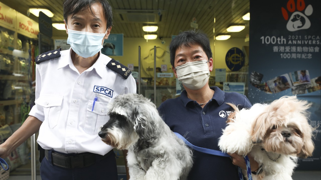 Hong Kong SPCA celebrates 100 years of saving animals and promoting