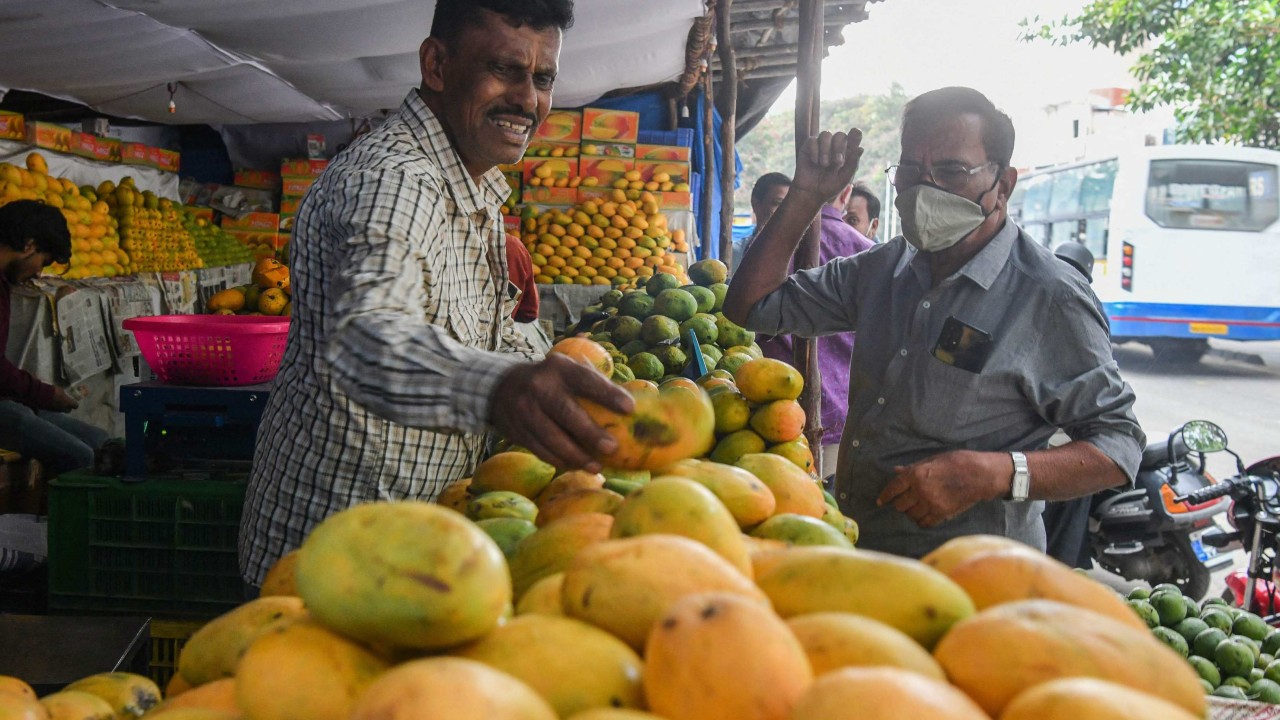 It takes two to mango: climate change, higher costs threaten India’s ‘king of fruits’