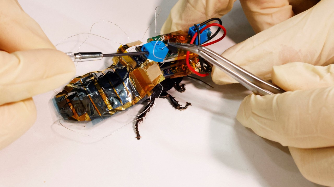 Yakınınızdaki afet bölgesine gelen Japonya'nın cyborg hamam böceği ile tanışın