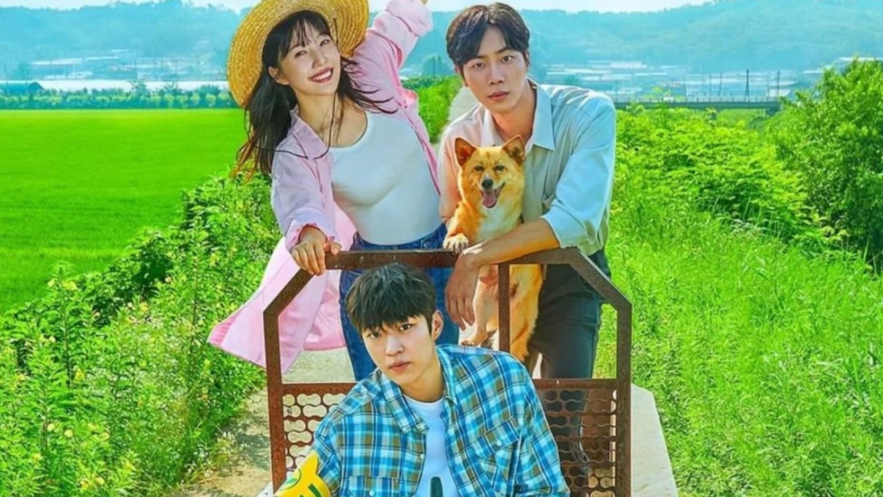 Netflix Korean romantic comedy Once Upon a Small Town sees city vet struggling with love and life in the countryside
