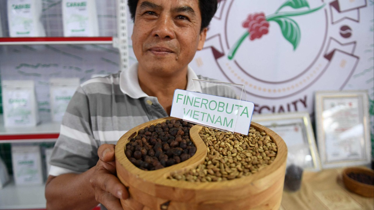 越南改进了罗布斯塔咖啡豆的风味，这种咖啡豆比阿拉比卡咖啡更能抵抗全球变暖，阿拉比卡咖啡是它们的美味表亲