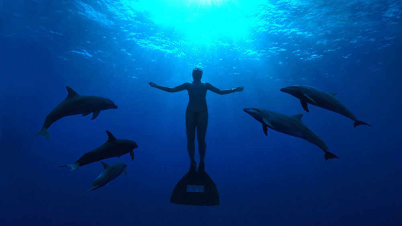 奥斯卡获奖纪录片《海湾》如何促使一位香港海洋生物学家“180度大转变”以解决海豚圈养问题