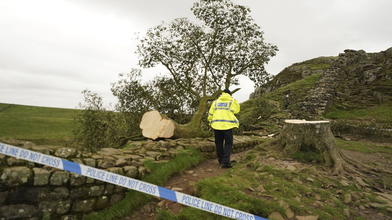 UK teen arrested after famous ‘Robin Hood Tree’ cut down at Hadrian’s Wall