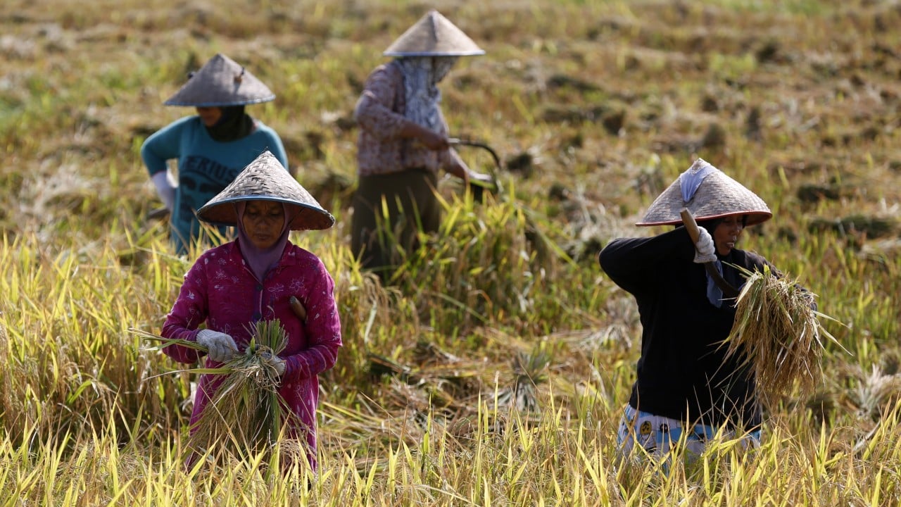 Southeast Asia’s heatwaves threaten food security. How can nations adapt?