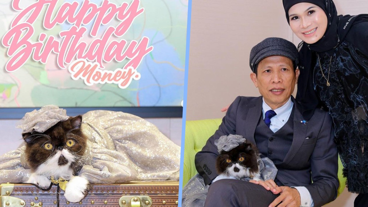 Malaysian millionaire throws lavish Louis Vuitton birthday bash for cat called Money, gifts pet luxury brand collar