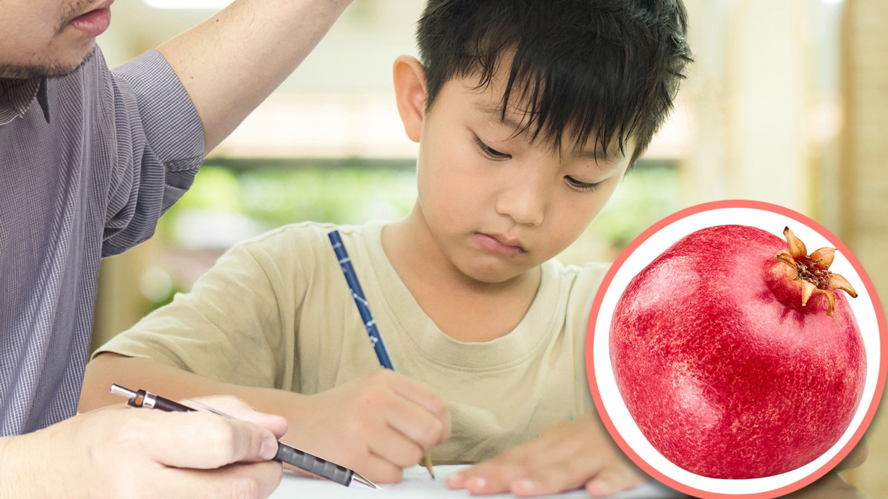 Frustrated China father launches pomegranate at primary school son over homework ‘shortcomings’, ruptures boy’s spleen