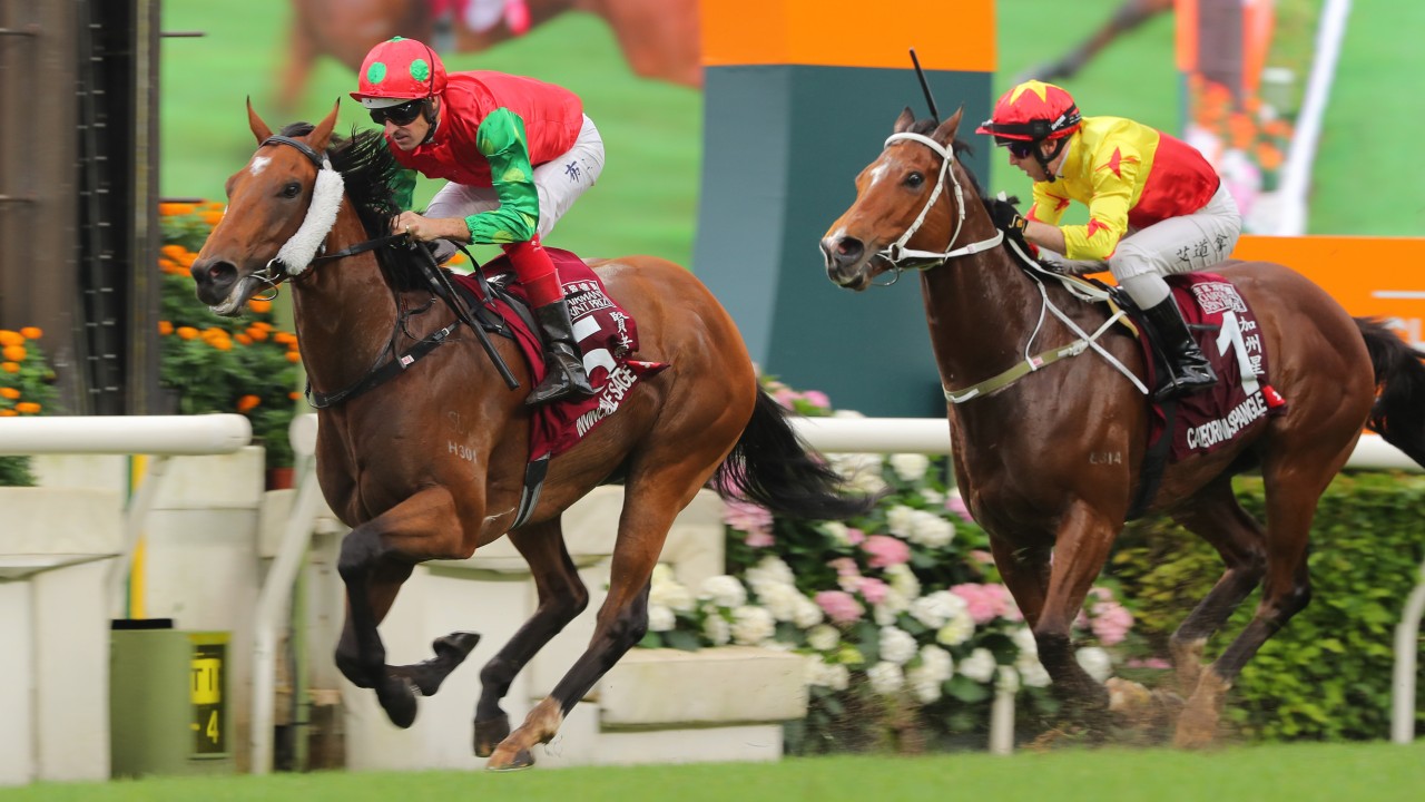 Invincible Sage sets sights on matching Lucky Sweynesse’s feature double in Sha Tin Vase