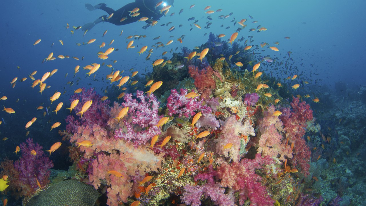 Fiji’s clear waters, white sand beaches and friendly islanders make it a tropical paradise