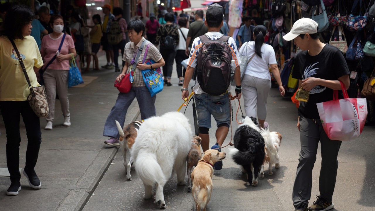 Reducing Hong Kong’s pet quarantine period ‘might curb cross-border smuggling’