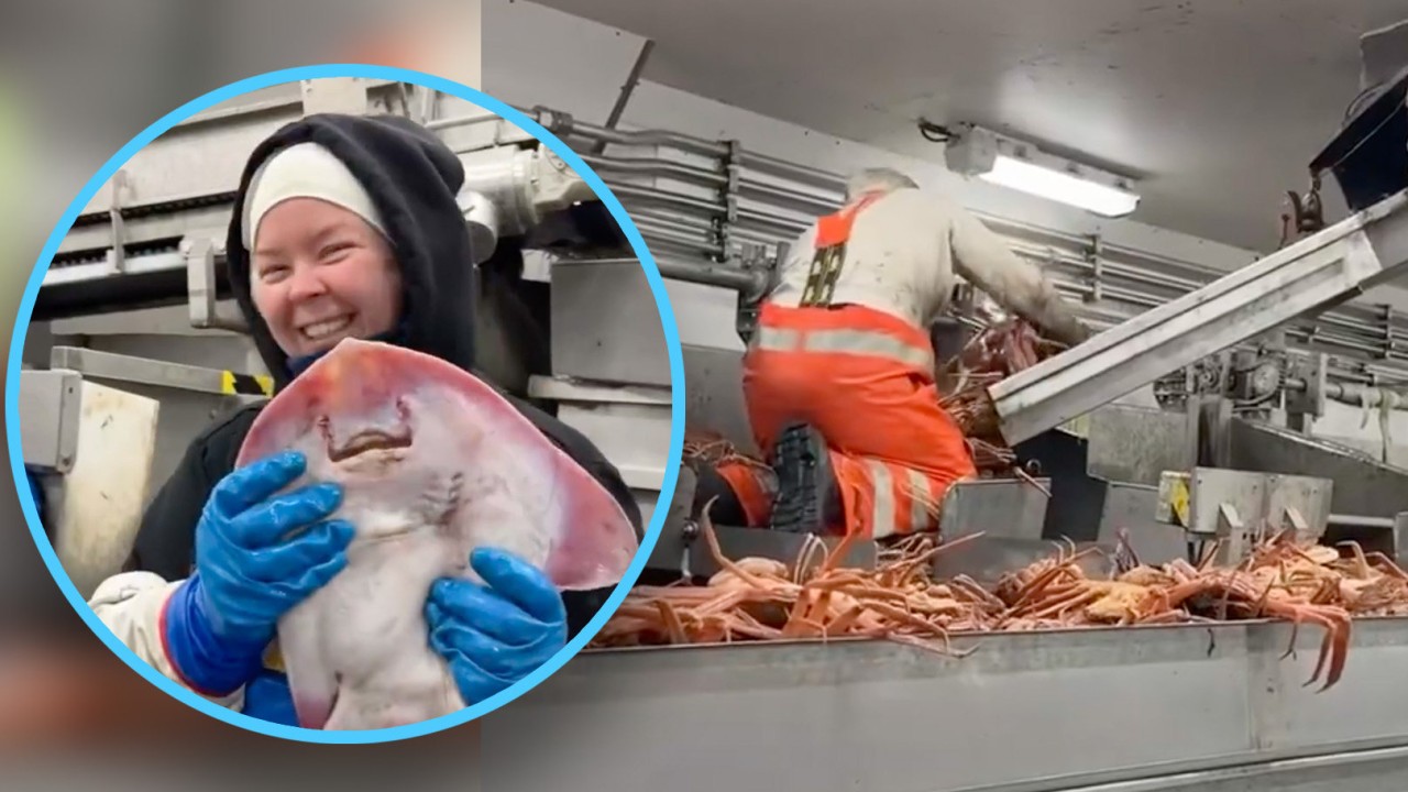 Defiant woman becomes China’s first female Arctic crab fisher, earns US$18,000 a month