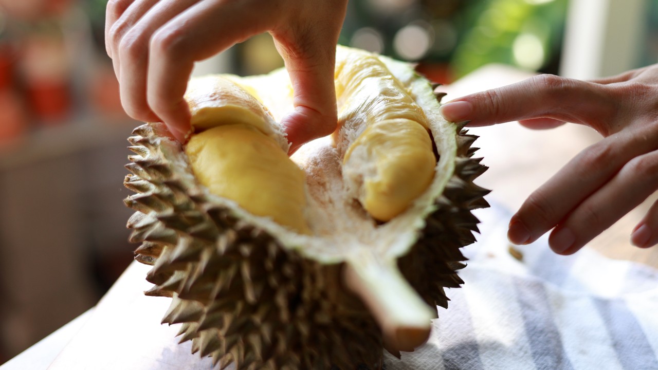 When an ancient Chinese voyager tried durian, and the rise of Malaysia’s cultivars