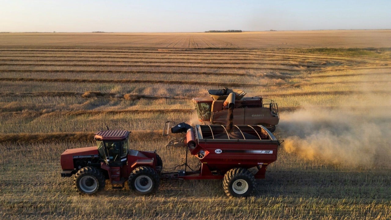 La disminución del apetito de cereales en China supone un problema para los agricultores del mundo