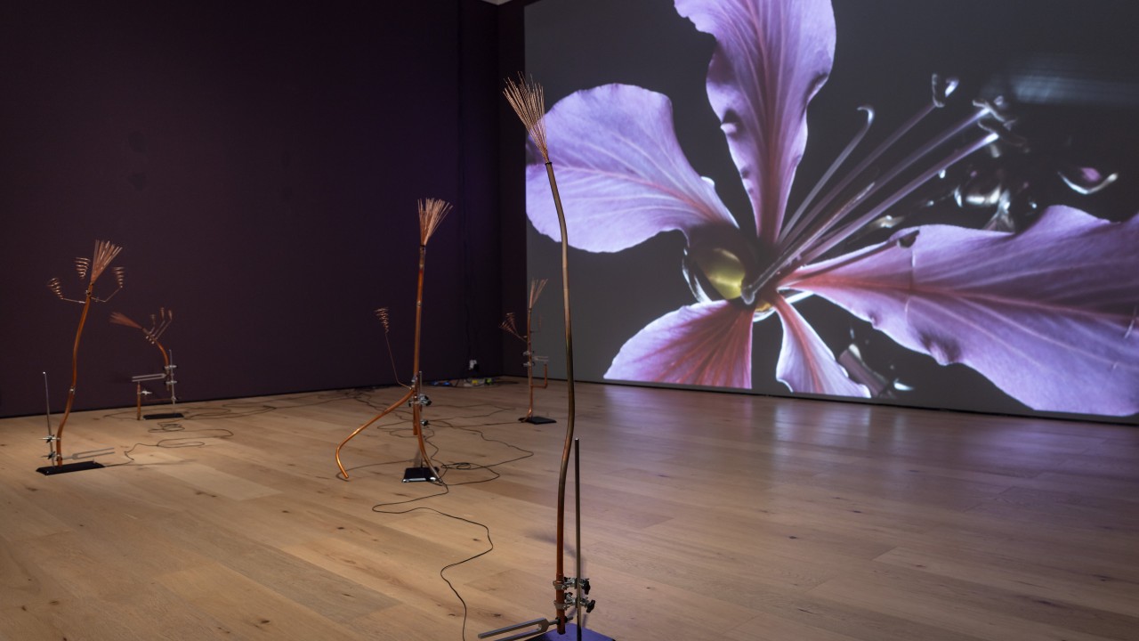 Shenzhen exhibition shows how artists who have left Hong Kong think of their city today