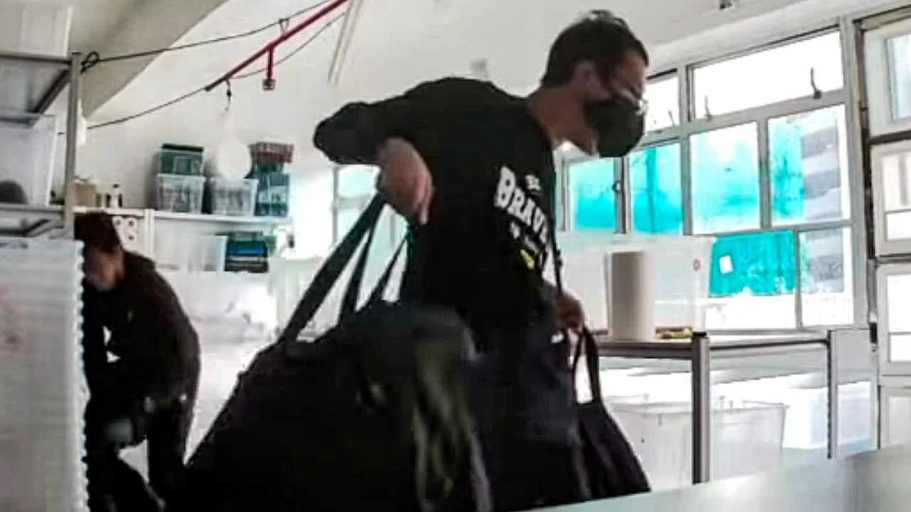 3 burglars wanted by Hong Kong police for alleged theft of 50 turtles said to cost HK$5 million