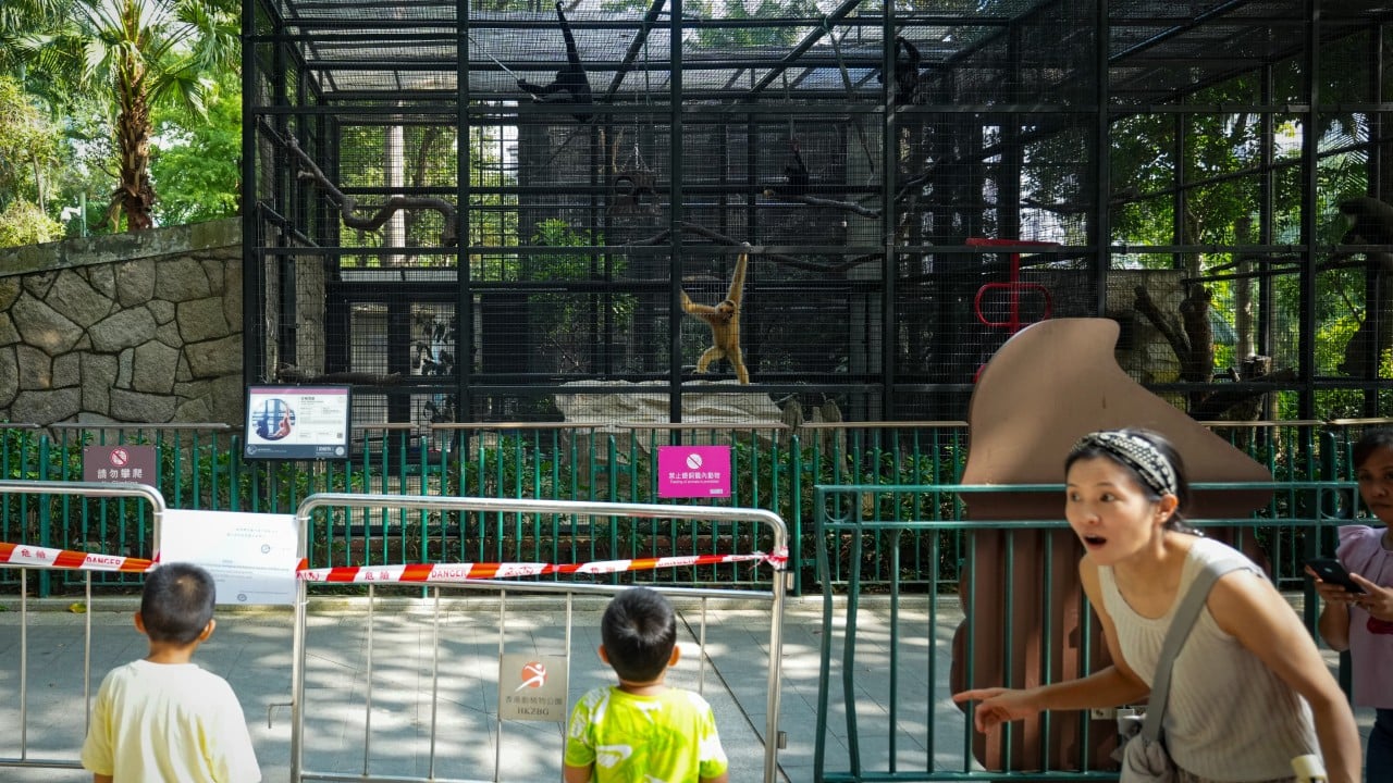 Hong Kong’s John Lee says sudden monkey deaths ‘must be contained’, vows to uncover cause