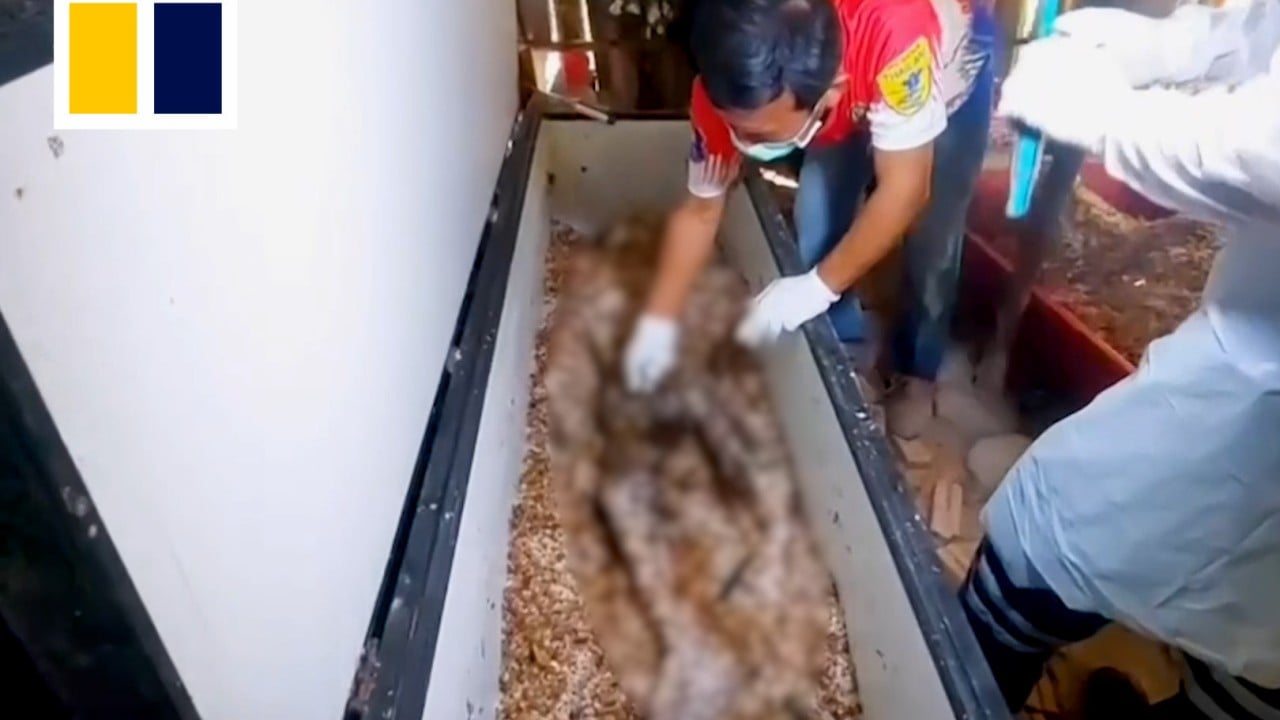 Police horrified to uncover 12 bodies linked to black magic cult in Thailand