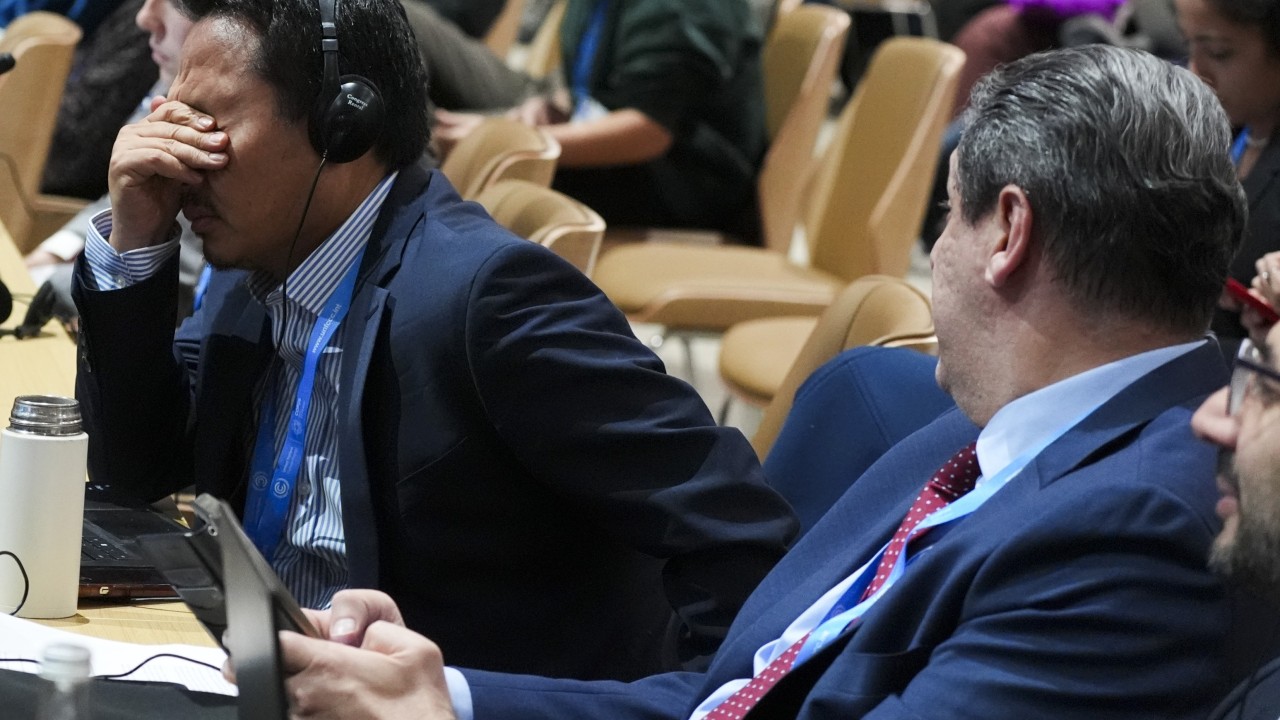 Did Cop29 make any meaningful progress on climate change?