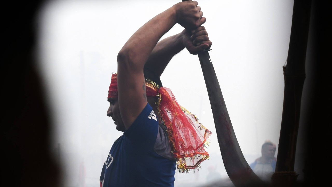 Nepal’s ‘barbaric’ animal sacrifice ritual persists despite outcry