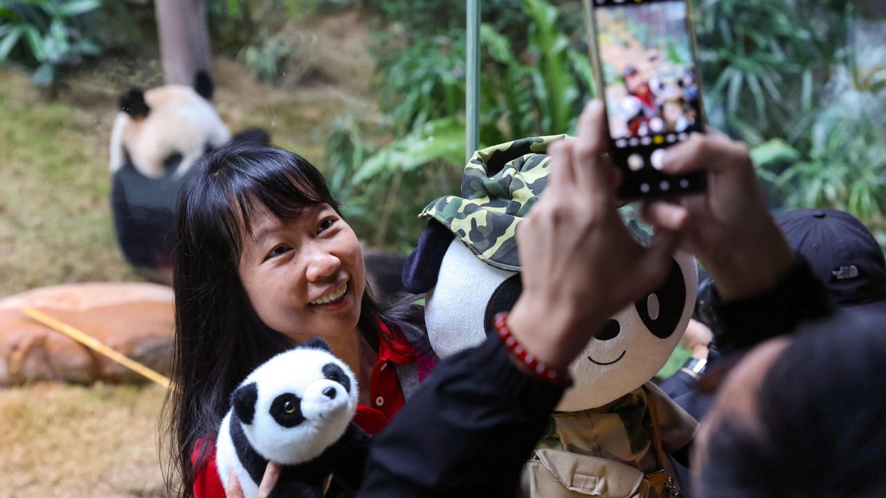 Ocean Park debut for Hong Kong pandas An An, Ke Ke draws fans from around the world