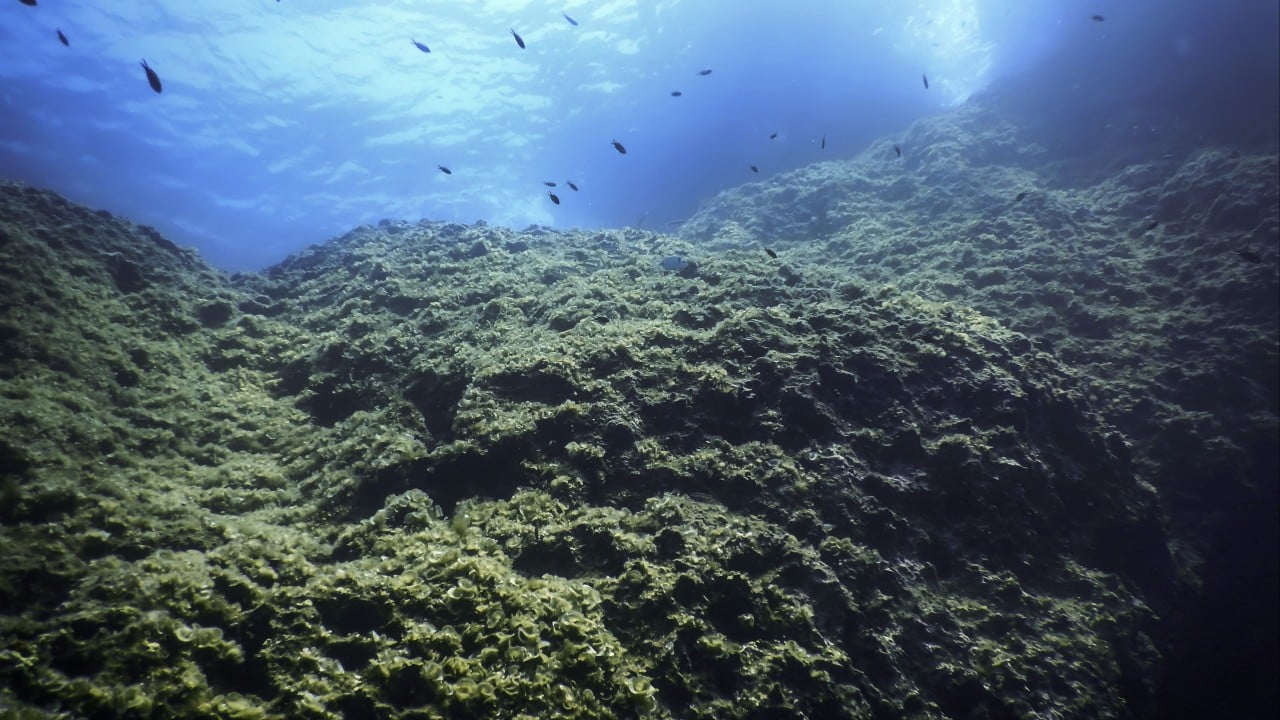 Why China needs allies in the next mining frontier – the ocean floor