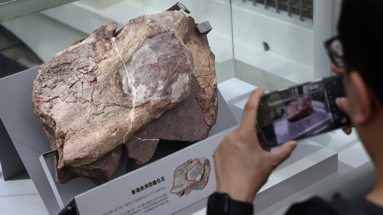 Hong Kong finds 30 more dinosaur fossils on Port Island, with area to reopen to public