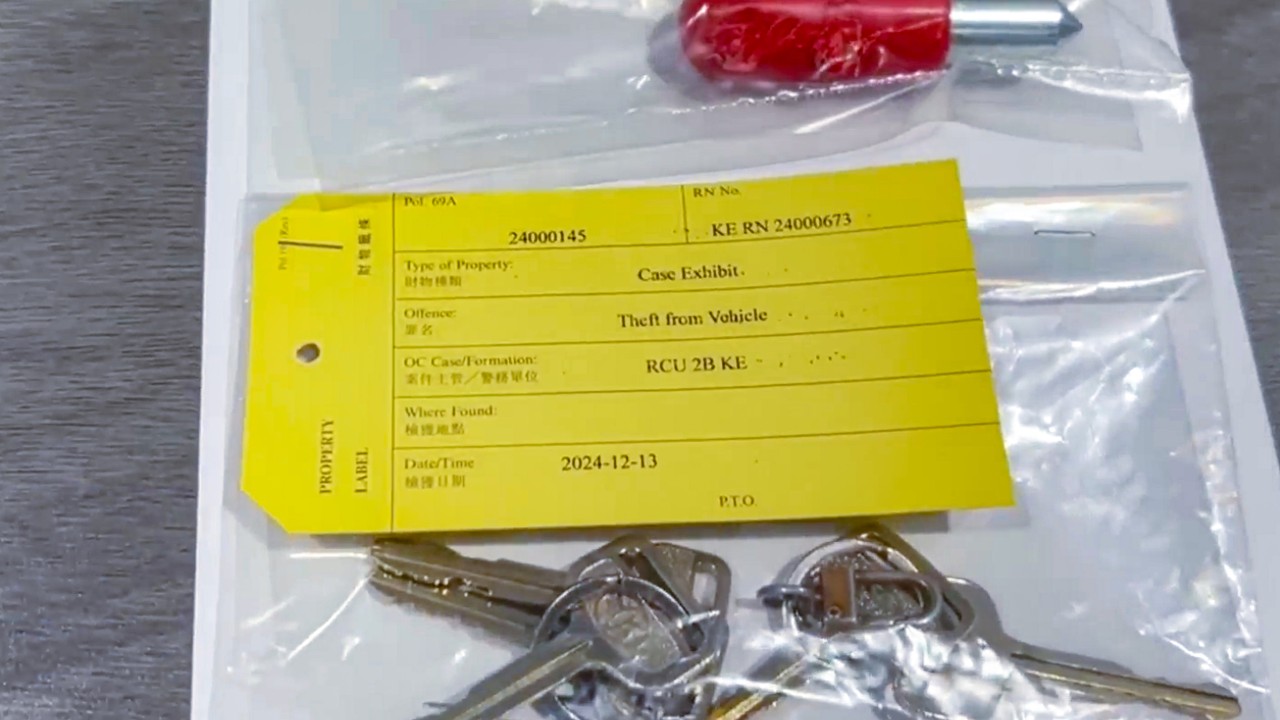 Hongkonger arrested in connection with 30 cases of car theft and break-ins