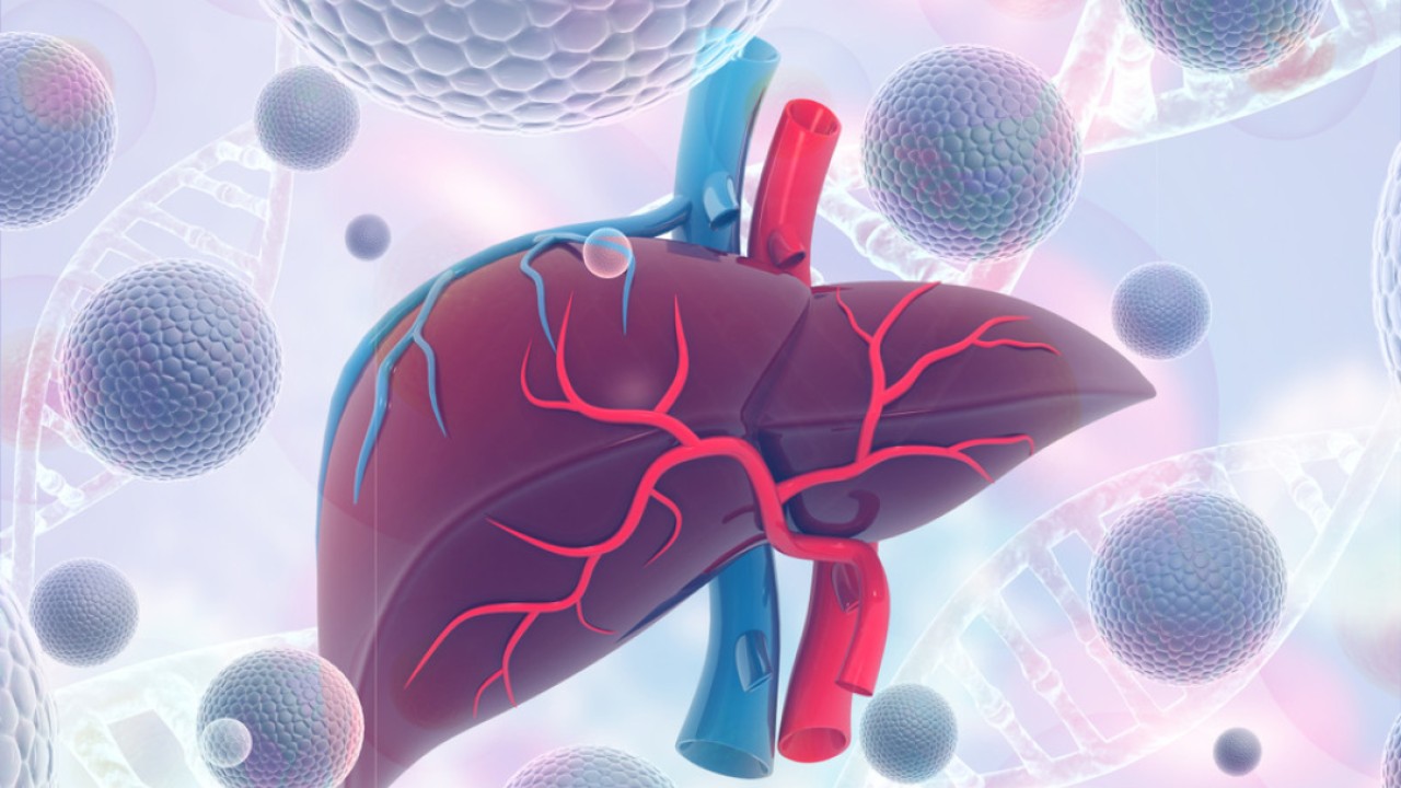 Longevity ‘elixir’: have Chinese scientists found a way to extend life, boost health?