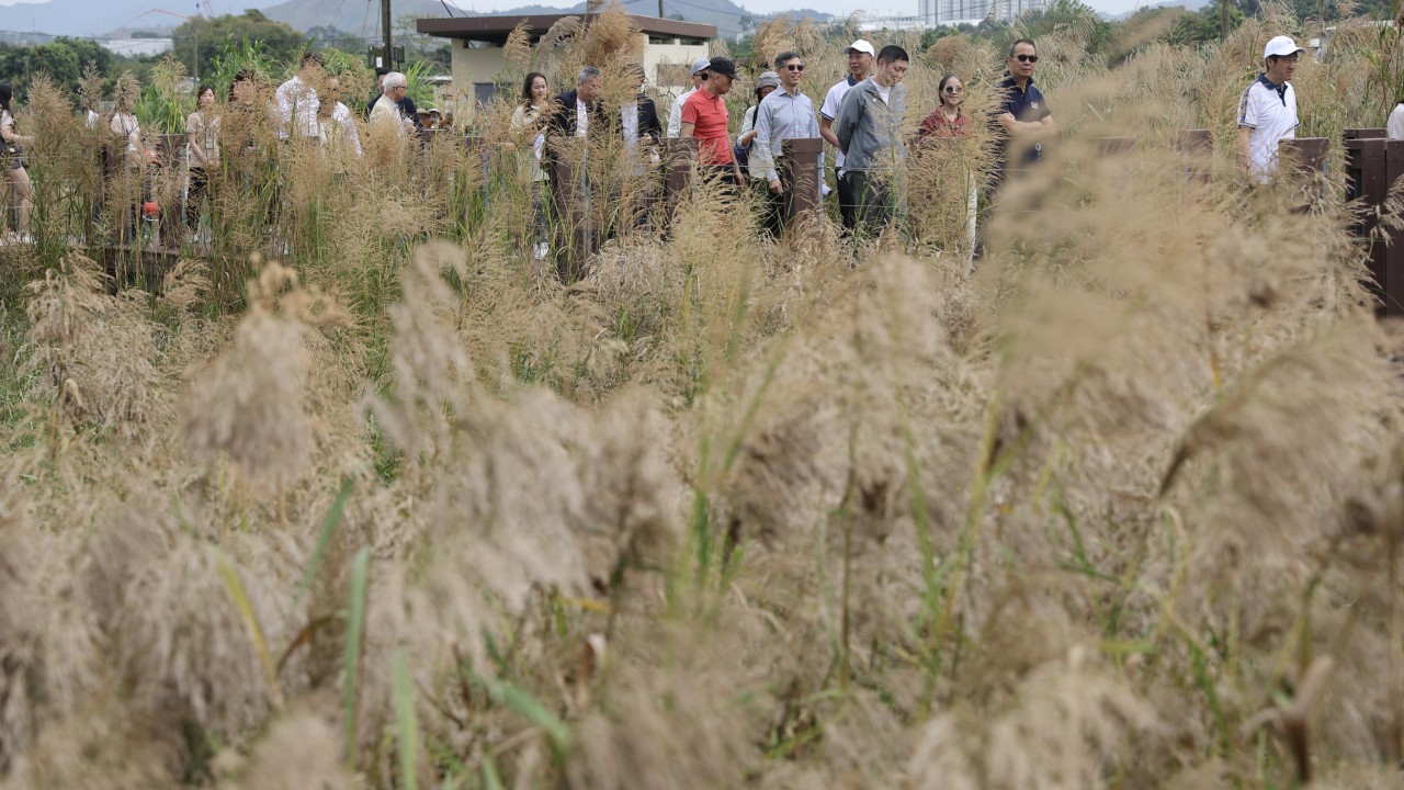 Hong Kong’s Long Valley Nature Park opens to public after habitat restoration