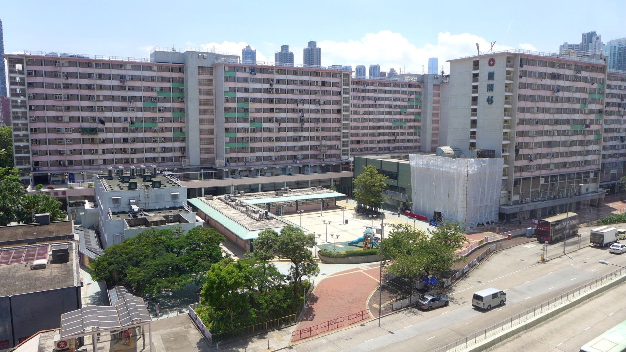Hong Kong police investigate dead puppies found on shopping centre rooftop
