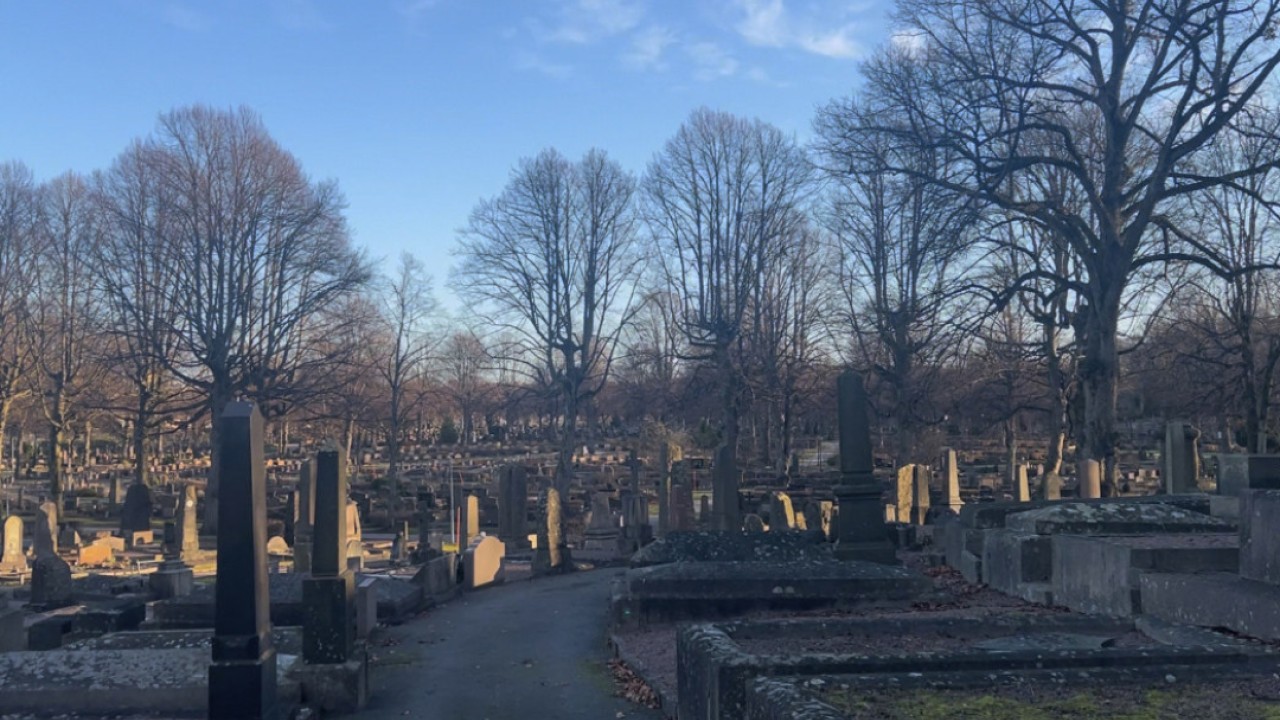 Sweden embarks on sober search for more cemetery space in event of war