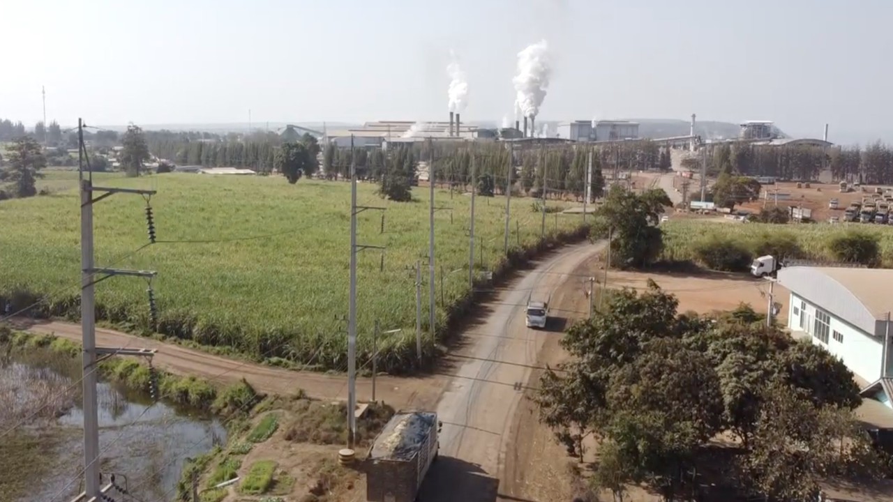 Thai sugar farmers, squeezed by climate change and health concerns, face bitter outlook