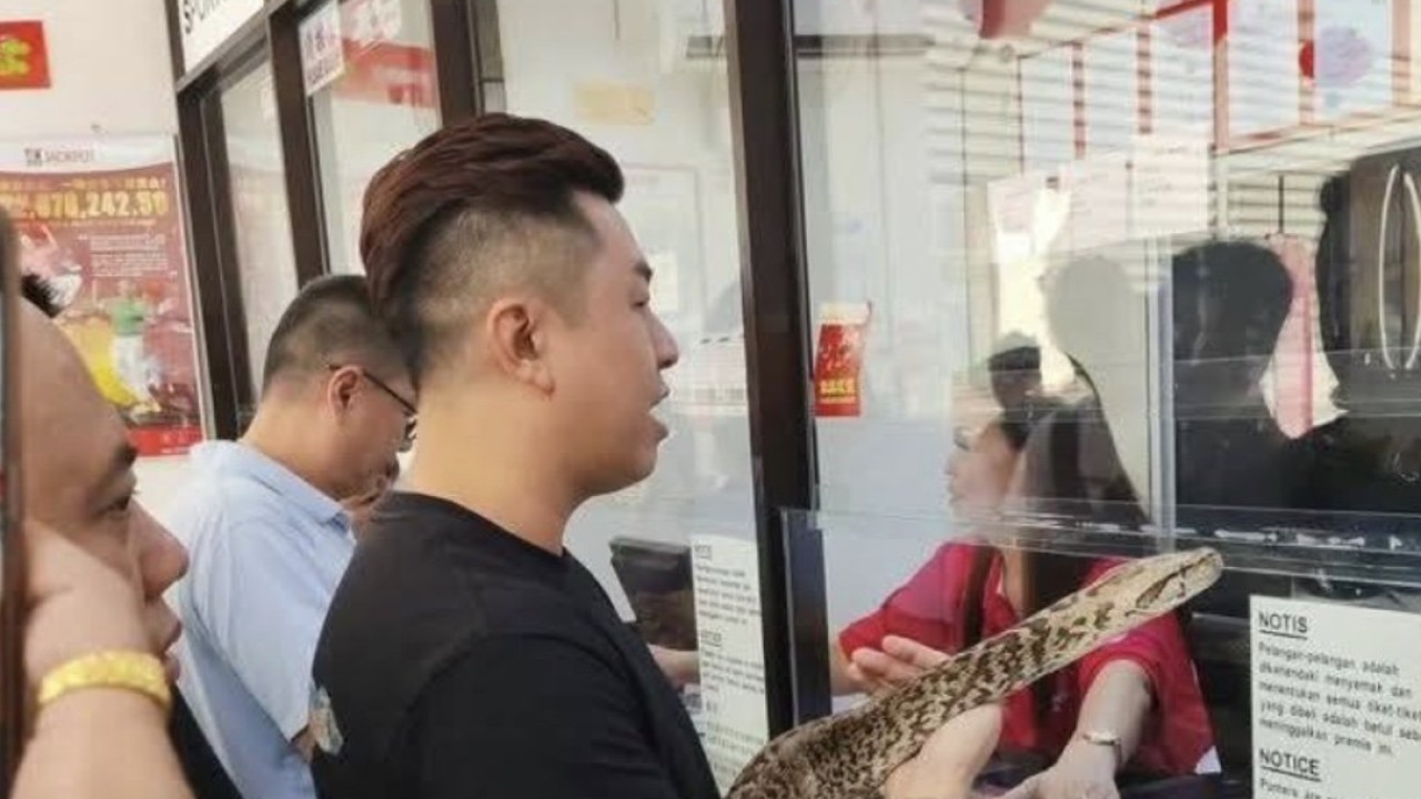 Malaysia gripped by Sports Toto lottery fever, even 2 ‘lucky’ snakes show up