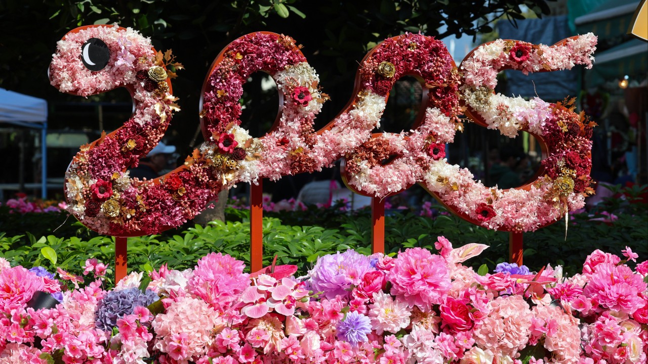 Year of the Snake: Hongkongers’ MPF investments to face volatility, analysts say