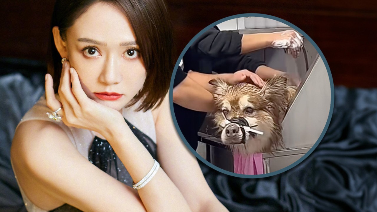 Taiwan actress slams China influencer after dog dies during live-stream bath