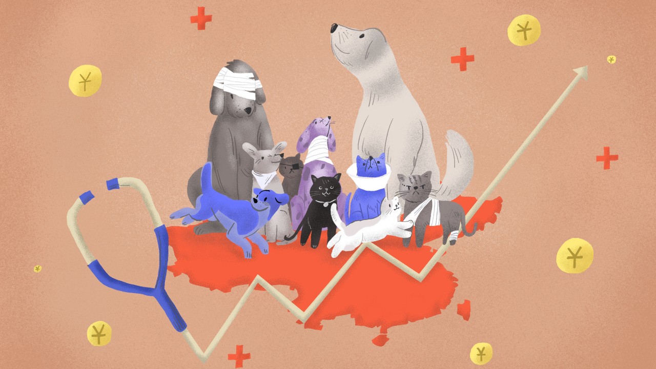 Pet healthcare booms in China as furry friends outnumber infants and toddlers