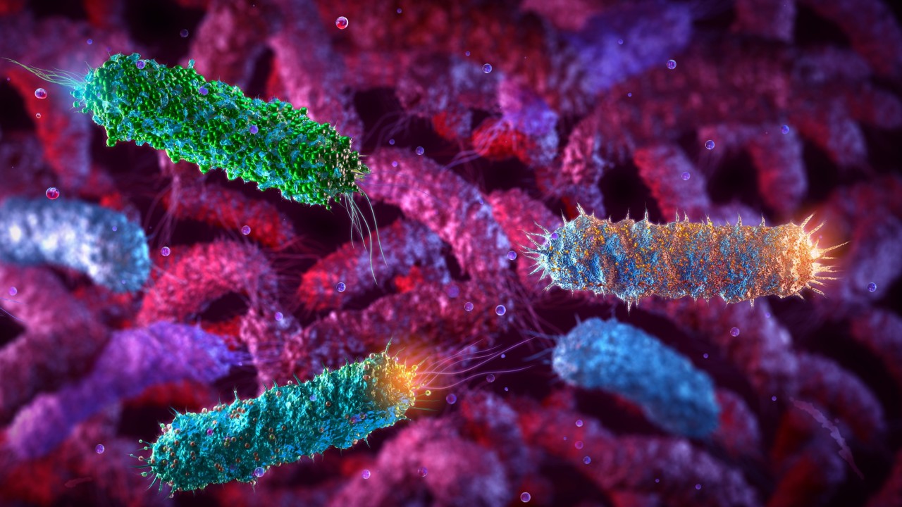 ‘Very important step’: Chinese scientists turn E coli into a photosynthetic life form